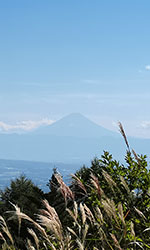 観音平から富士山