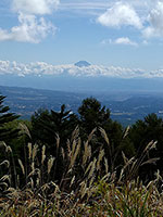 観音平から富士山