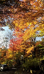 紅葉2019@塩嶺峠